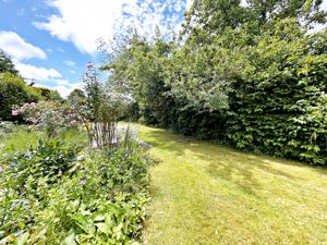 Garden- click for photo gallery